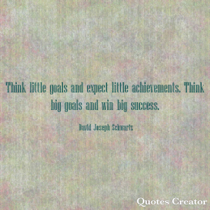 Think little goals and expect little achievements.  Think big goals and win big success.  David Joseph Schwartz